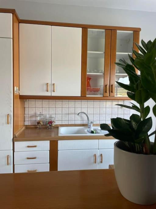 Enchanting Mycenae - Your Greek Retreat Apartment Argos