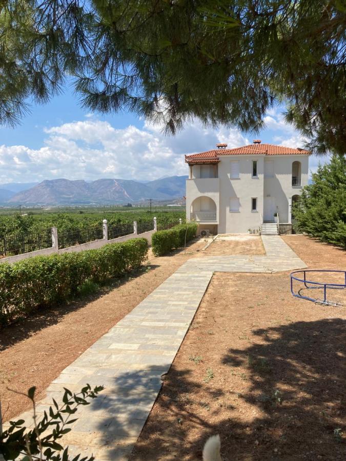 Apartment Enchanting Mycenae - Your Greek Retreat Argos